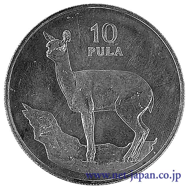 表：ボツワナ10プラ銀貨