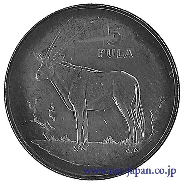 表：ボツワナ5プラ銀貨