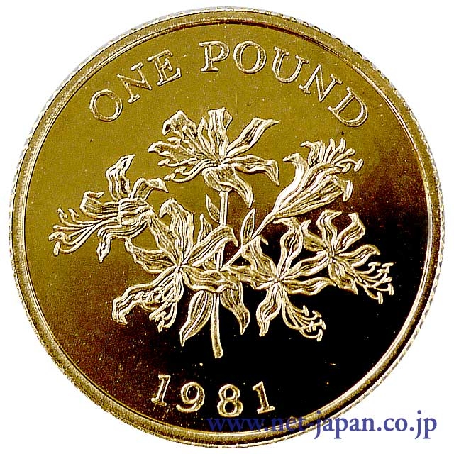 表：ガーンジーのユリ1ポンド金貨